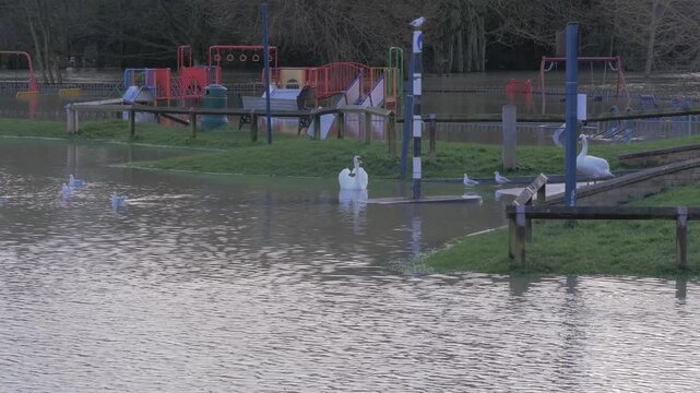Flooded car park parking lot, water logged children's playground play area, swans and gulls, birds in winter light