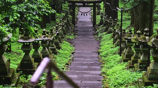苔むした灯籠が並ぶ美しい参道
光と苔が織りなす「百本の灯籠に守られた、深緑の聖域。」
阿蘇郡高森町(上色見熊野座神社)
A beautiful approach lined with moss-covered lanterns