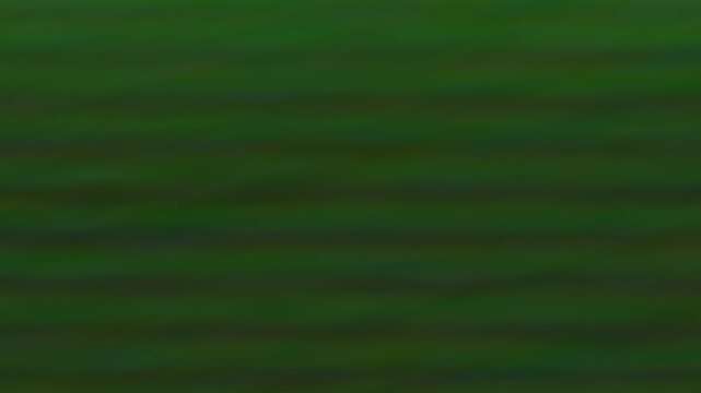 Multiple web browser windows floating and moving towards the camera