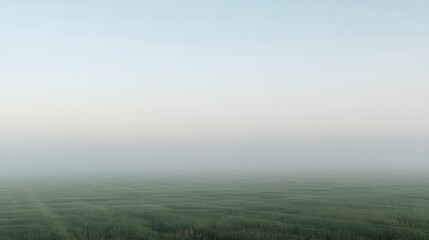 Fototapeta premium Morning mist over green fields with soft fog and minimal horizon landscape