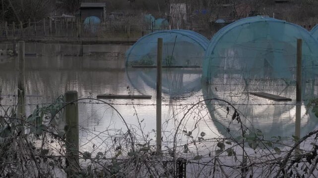 Fences and planting tunnels submerged in flood water, allotment, community garden flooded, winter evening