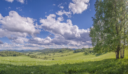 Obraz premium View of green meadows and hills on a summer day, cloudy sky
