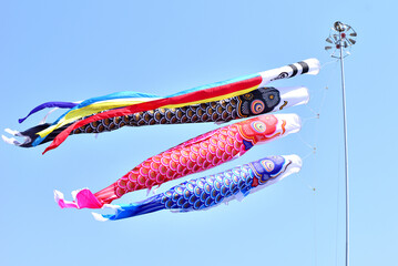  青空と鯉のぼり