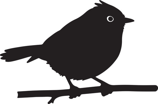 Goldcrest Kinglet in silhouette on white background.