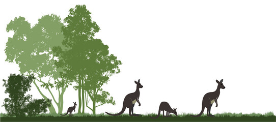 Silhouette of kangaroos grazing near gum trees in Australian outback landscape © electra kay-smith