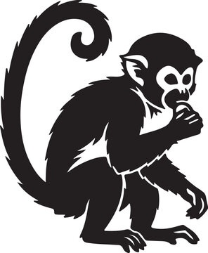 Squirrel monkey in silhouette white backgruond..