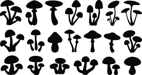 Mushroom silhouette collection, forest fungi plants vector illustration, wild nature toadstool icons isolated botanical organic design elements set © MdAnisur