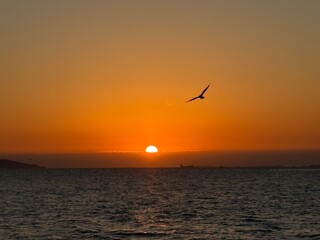 Fototapeta premium sunset on the beach