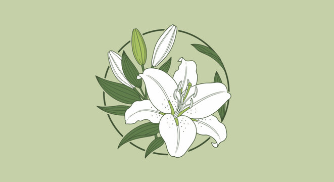 lily of the valley flower illustration vector on white and green background floral botanical spring nature pattern design garden bouquet leaves