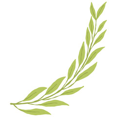 Obraz premium Hand Drawn Minimalist Green Leaf Branch Botanical Illustration Transparent Background