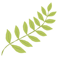 Fototapeta premium Hand Drawn Minimalist Green Leaf Branch Botanical Illustration Transparent Background