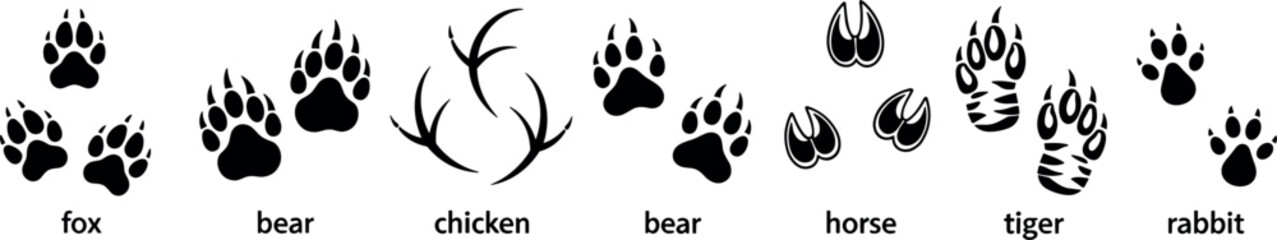 Animal footprint and track silhouettes collection including fox bear chicken horse tiger and rabbit paw prints © Jesika!