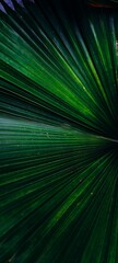 Obraz premium abstract green background