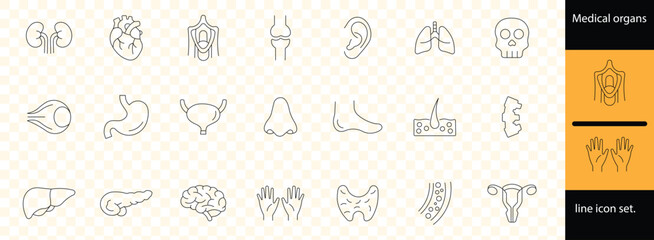 Minimal line human anatomy and body organ icon set featuring medical health hands bones organs illustration design symbols education healthcare.
