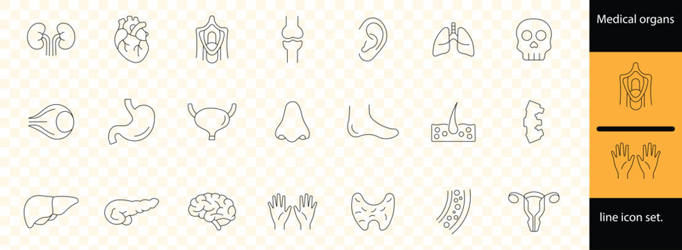 Minimal line human anatomy and body organ icon set featuring medical health hands bones organs illustration design symbols education healthcare.