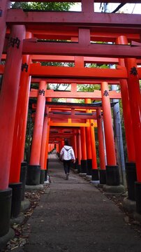 Walking beneath vermilion torii gates in Kyoto, Japan