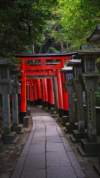 Stone lantern pathway leading to vermilion torii gates at Fushimi Inari Taisha, Kyoto, Japan