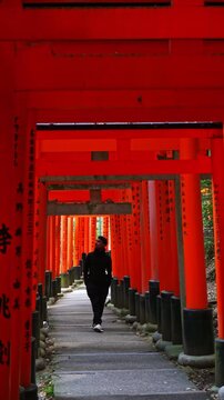 Traveler admiring the iconic torii gates of Fushimi Inari Taisha, Kyoto, Japan