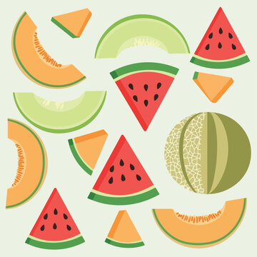 Colorful vector illustration of various fruit slices and a melon