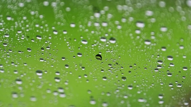 雨の日の車窓は、世界を優しく滲ませる。
「新緑と雨粒が織りなす、爽やかなナチュラル背景。」
The view from the train window on a rainy day softly blurs the world.
"The fresh greenery and raindrops create a refreshing natural backdrop."