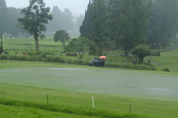 Small Golf Cart with Red Umbrella Driving Along Golf Course Edge in Heavy Rain