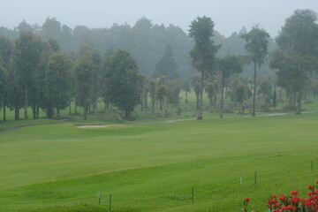 Fototapeta premium Panoramic View of Green Golf Course in Heavy Rain with Mist and Trees on the Horizon