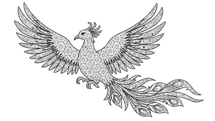 Fototapeta premium Detailed illustration of a mythical bird with outstretched wings and a long feathered tail on a white background.