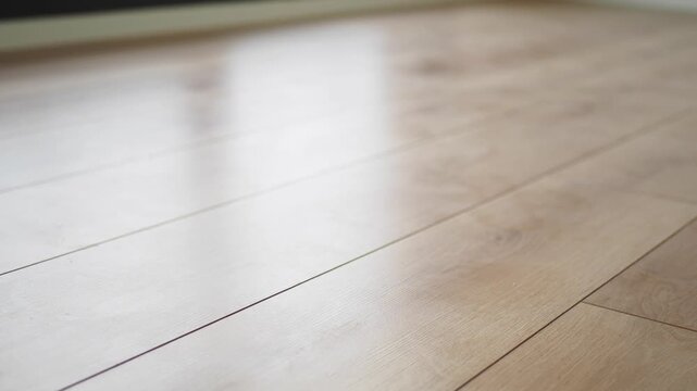Light wooden floor with clean planks and subtle reflection of natural light