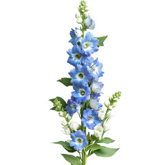 Fototapeta premium Blue delphinium flowers with green leaves isolated on transparent background transparent background