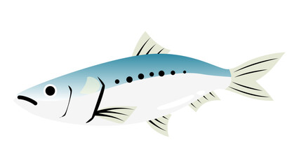 シンプルでかわいい鰯（イワシ）のイラスト　食べ物・魚のベクター素材