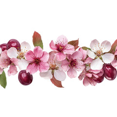 Pink cherry blossoms and plums on a branch with green leaves arrangement transparent background