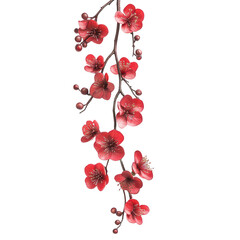 Red flowers and buds on a tree branch isolated on transparent background transparent background