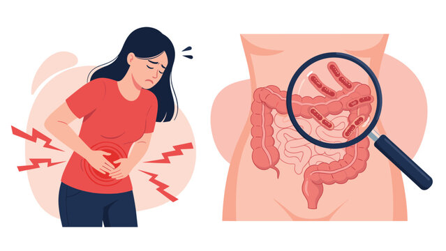 Young woman suffering from severe abdominal pain while magnifying glass shows bacteria in intestines representing digestive health issues.
