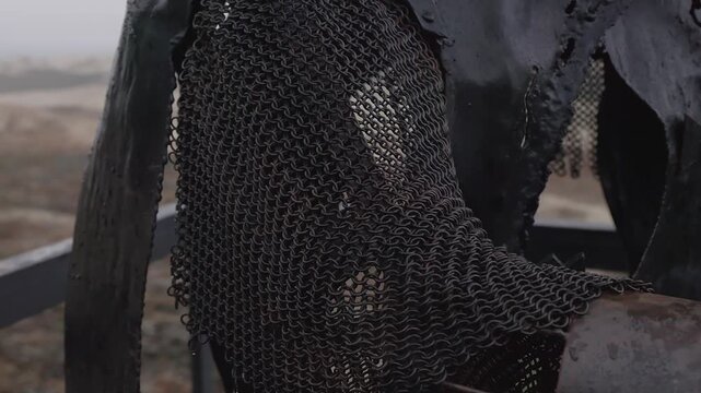 A knight in a fighting stance, possibly preparing for a fight. This frame could be a key moment in the plot development.