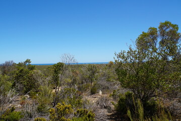 The Pinnacles Desert in Nambung National Park - Australia