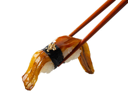 Eel (Anago) Nigiri Sushi with Sweet Sauce Held by Chopsticks on White Background