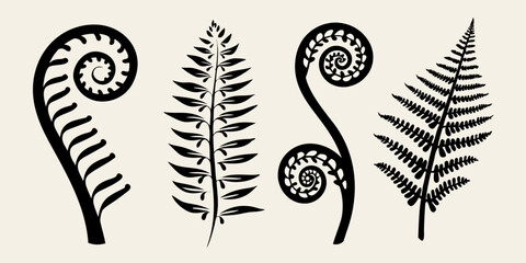 Silhouettes of fern fronds in varying stages of unfurling and maturity © Prince
