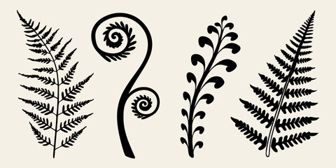 Black silhouettes of various fern fronds and curled fiddleheads © Sukla