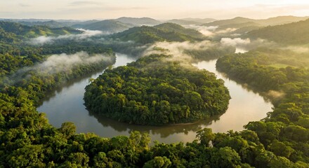 Naklejka premium An aerial view captures a winding river flowing through a lush, dense rainforest with soft morning mist hovering over the jungle canopy and rolling hills in the distance