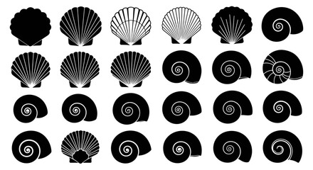 Collection of Black Silhouette Scallop and Nautilus Shells © nad