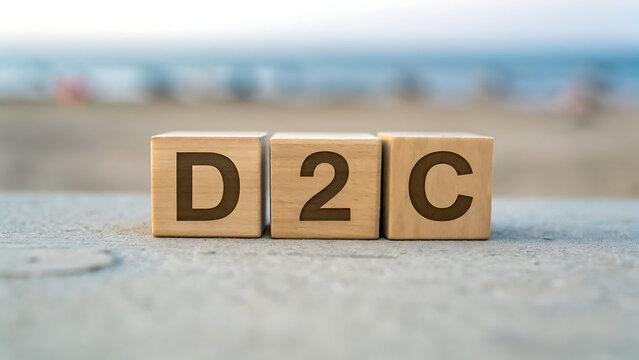 Wooden blocks spelling d2c on a snowy beach.