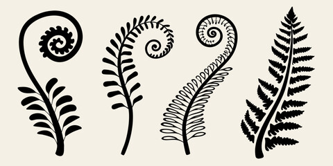Black silhouettes of fern fronds in varying stages of unfurling © Tapan