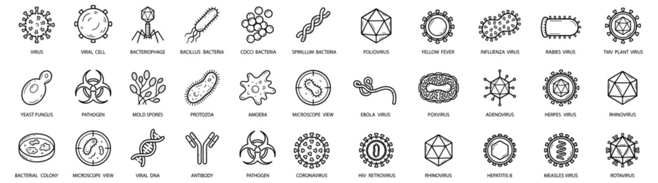 Microbiology line icons set of viruses, bacteria, fungi, protozoa, antibodies and pathogens for medical, scientific and educational infographics and healthcare presentations