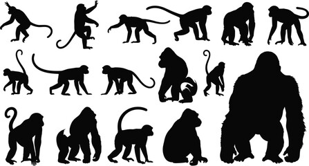 Collection of diverse primate silhouettes including monkeys and gorillas in varied poses, isolated on white background, ideal for zoology, biology, illustration, and artistic design