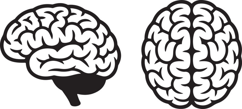 Brain icons. side and top view. mind, intelligence, psychology and neurology symbol