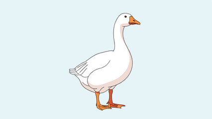 Obraz premium Full body side view of a large white goose with an orange beak and webbed feet standing on a light blue background.