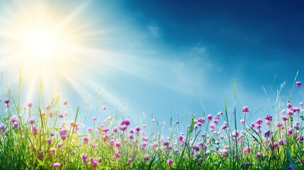 Naklejka premium Beautiful grass and bright yellow flowers, a warm spring or summer natural scenery background, perfect for posters, presentations, and magazine covers.