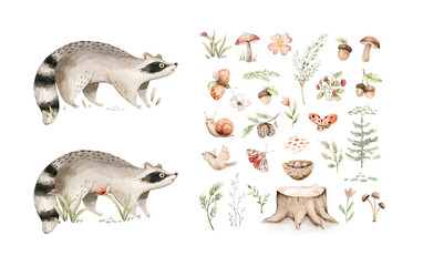 Watercolor cute baby raccoon animal. Woodland nursery isolated whimsical illustration soft pastel for children. watercolour stump and acorn forest drawing with floral elements. 