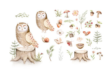 Watercolor cute baby owl animal. Woodland nursery isolated illustration for children. for children. watercolour stump and acorn forest drawing with floral elements. Butterfly and spruce b © kris_art