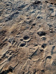 footsteps in the sand